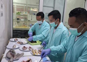 KKP Tegaskan Ikan Hasil Destructive Fishing Tak Layak Konsumsi