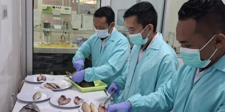 KKP Tegaskan Ikan Hasil Destructive Fishing Tak Layak Konsumsi