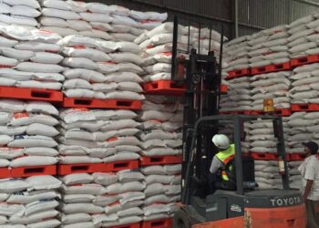 Serapan Membludak, Begini Cara Bulog Jaga Kualitas Beras di Gudang