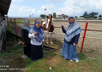 Kementan Dorong Pengembangan Kuda Lewat Teknologi IB