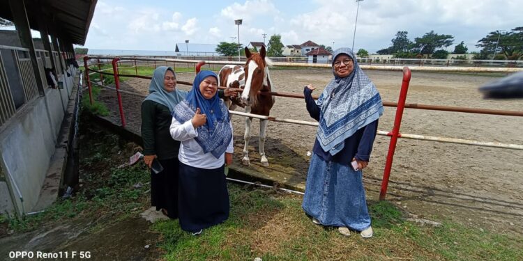 Kementan Dorong Pengembangan Kuda Lewat Teknologi IB