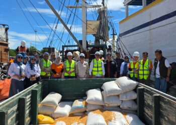 Kapal Pertama Jagung NTB Sandar di Surabaya, Kementan Dukung Distribusi Pakan Ternak Jadi Makin Efisien!