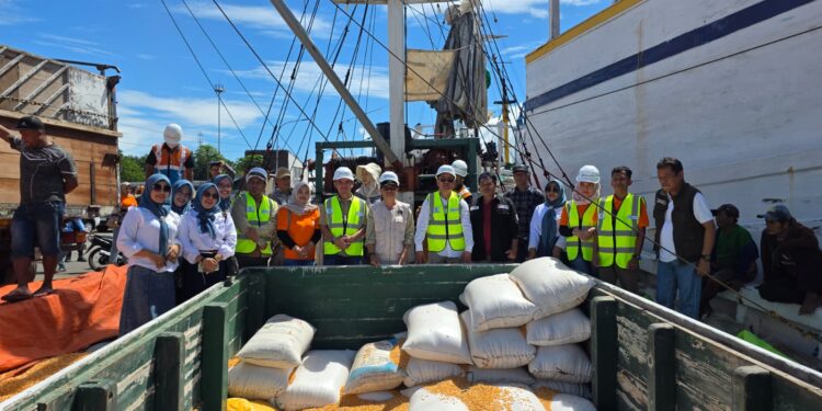 Kapal Pertama Jagung NTB Sandar di Surabaya, Kementan Dukung Distribusi Pakan Ternak Jadi Makin Efisien!