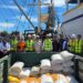 Kapal Pertama Jagung NTB Sandar di Surabaya, Kementan Dukung Distribusi Pakan Ternak Jadi Makin Efisien!