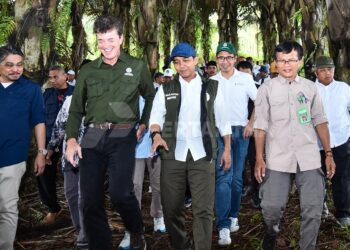Menhut dan Pertamina NRE Dorong Program Aren Nasional untuk Pengembangan Bioetanol Indonesia