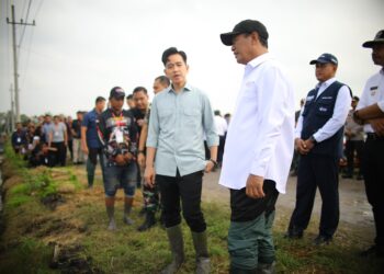 Tanam Padi di Ngawi, Wapres Tegaskan Pemerintah Siap Bantu Petani