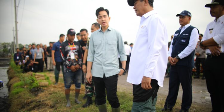 Tanam Padi di Ngawi, Wapres Tegaskan Pemerintah Siap Bantu Petani