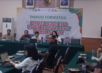 Pemerintah Dorong Sertifikasi ISPO Hulu-Hilir untuk Keberlanjutan Kelapa Sawit
