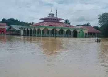 Halmahera Selatan Dilanda Banjir, 13.965 Warga Mengungsi