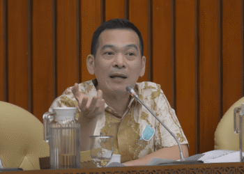 Empat Pulau Anambas Dijual Daring, Legislator PKB: Negara Lalai Jaga Kedaulatan Wilayah