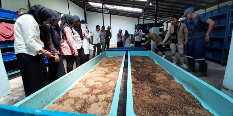 Tiga Inovasi BPPSDM KP Melaju ke KIPP 2025
