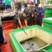 KKP Rampungkan Penyidikan Enam Kasus Kapal Ikan Asing Ilegal