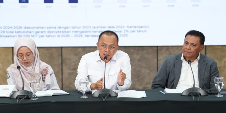 KKP Tawarkan Peluang Investasi di Sentra Garam Rote Ndao