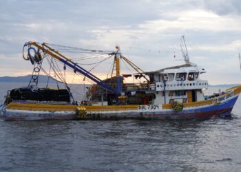 KKP Tangkap Kapal Ikan Ilegal hingga Gagalkan Perdagangan Telur Penyu