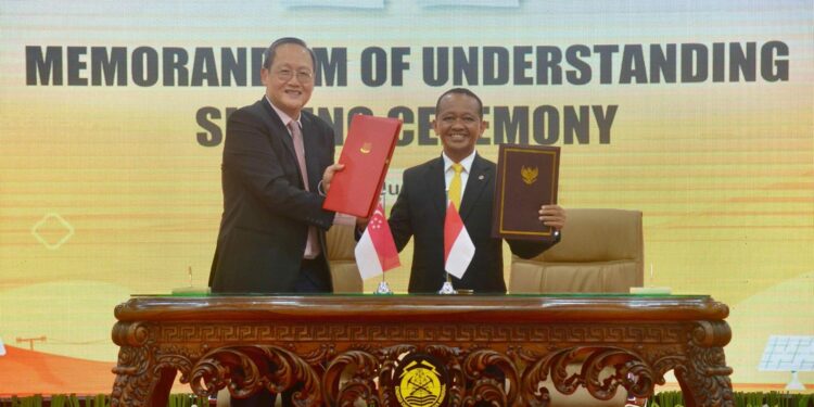 Indonesia–Singapura Garap Proyek Energi Hijau Senilai Rp162,7 Triliun