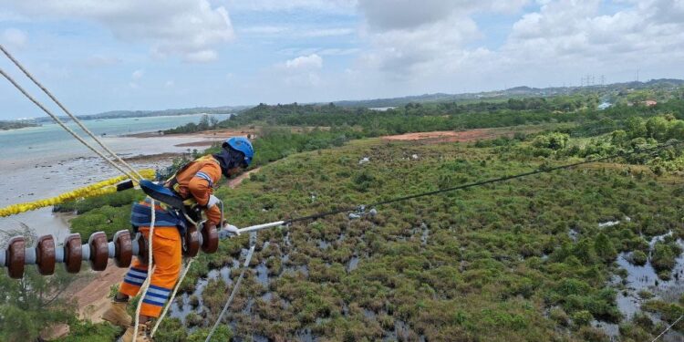 Sepanjang 2024, PLN Setor Rp65,59 Triliun ke Negara