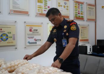 KKP Gagalkan Penyelundupan 5.400 Telur Penyu di Kalbar