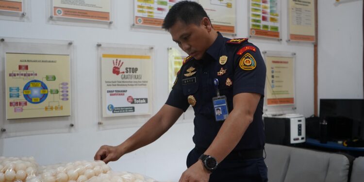 KKP Gagalkan Penyelundupan 5.400 Telur Penyu di Kalbar