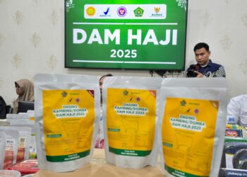 Pastikan Daging Aman dan Halal, Kementan Pantau Proses Penanganan dan Pengolahan Daging Dam