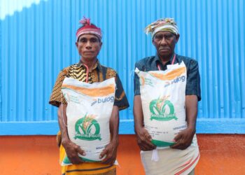 Bulog Siap Salurkan Bantuan Pangan, Penugasan dari Bapanas Telah Diterima