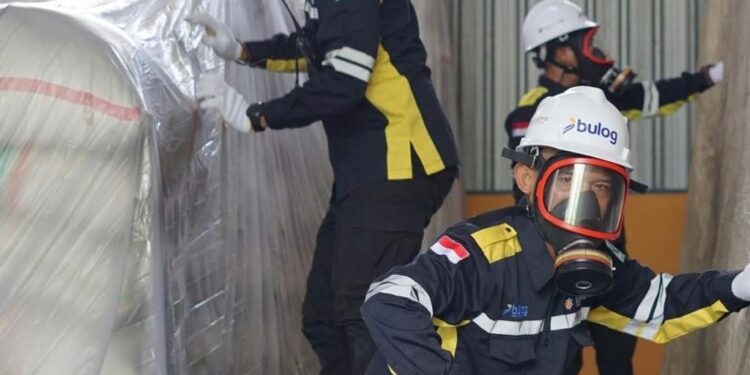 Upaya Terstruktur dalam Menjaga Kualitas Beras di Seluruh Gudang Bulog