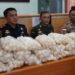 KKP Ungkap Jaringan Penyelundup Telur Penyu Lintas Negara