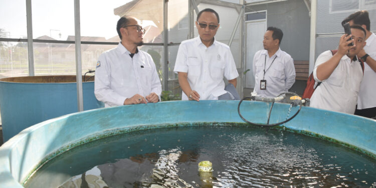 KKP Sinergi dengan BPJPH Pastikan Kehalalan Produk Perikanan