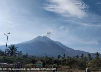 Status Gunung Lewotobi Laki-laki Turun Jadi Siaga