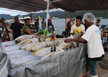 KKP Siap Kembangkan PPS Bitung Jadi Eco Fishing Port untuk Dukung PIT