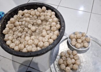 KKP – Polri Gagalkan Perdagangan 671 Butir Telur Penyu di Anambas