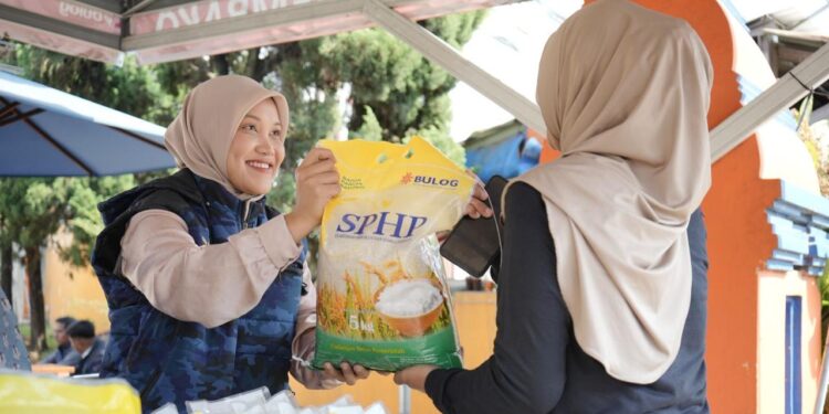 SPHP Mulai Masif, Berdampak Harga Gabah dan Beras Alami Penurunan