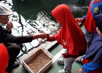 Mengulik Tiga Inovasi KKP Peraih Outstanding Public Service Innovation di KIPP 2025