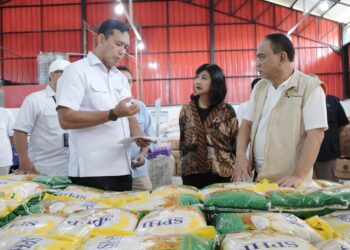 Sinergi Bulog dan Koperasi Merah Putih dalam Menjaga Kedaulatan Pangan Hingga ke Pelosok Negeri