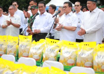 Jaga Stabilisasi Harga Beras, Pemerintah Salurkan 43 Ribu Ton Beras SPHP Secara Serentak