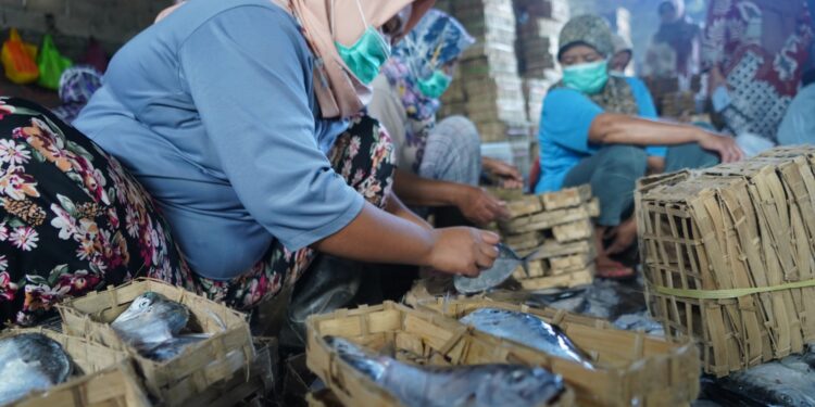 KKP Dukung Pengembangan UMKM Perikanan dan KDMP Lewat Literasi Keuangan