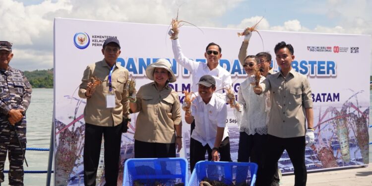 KKP Panen Perdana Lobster Hasil Modeling Budidaya di Batam