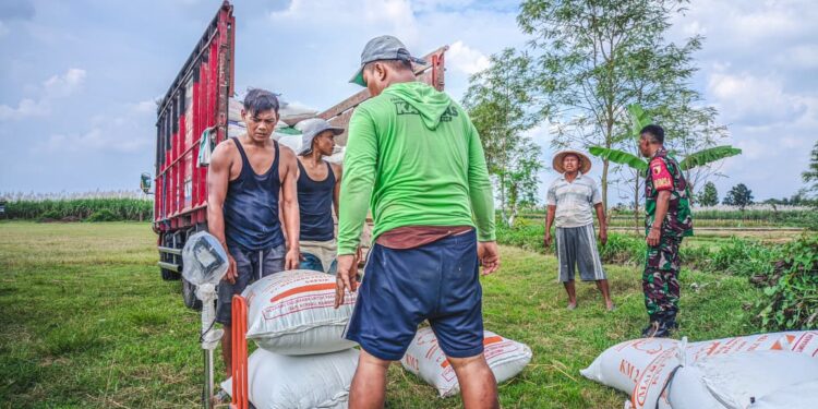 Bulog Tetap Lakukan Serapan Gabah dan Beras Dalam Negeri dengan Skema Komersial