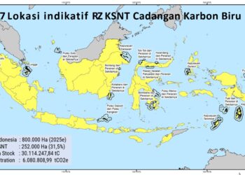 KKP Dorong Percepatan Legalisasi Rencana Zonasi KSNT untuk Karbon Biru