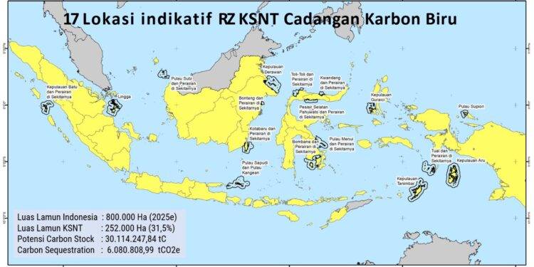 KKP Dorong Percepatan Legalisasi Rencana Zonasi KSNT untuk Karbon Biru