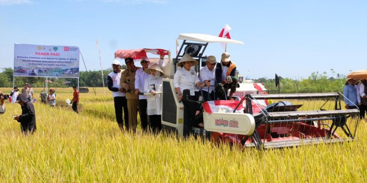 Demi Lindungi Petani dan Jaga Stok Nasional, Bulog Tegaskan Komitmen Serap Gabah