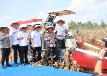 Mantapkan Langkah Menuju Swasembada Pangan, Bulog Siap Serap Jagung Hasil Tanam Polri