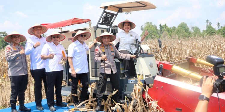 Mantapkan Langkah Menuju Swasembada Pangan, Bulog Siap Serap Jagung Hasil Tanam Polri