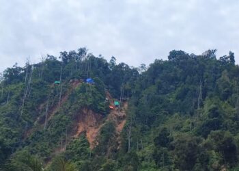 Pemerintah Kembali Kuasai 321,07 Hektare Lahan Tambang Ilegal