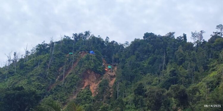 Pemerintah Kembali Kuasai 321,07 Hektare Lahan Tambang Ilegal