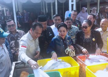 KKP – Komisi IV DPR Berdayakan UMKM Perikanan lewat Program Gemarikan di Yogya