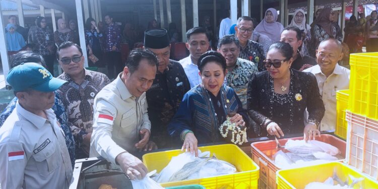 KKP – Komisi IV DPR Berdayakan UMKM Perikanan lewat Program Gemarikan di Yogya