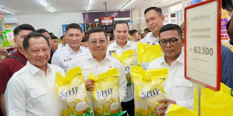 Beras Ambil Peran Menahan Laju Inflasi, Bulog Perkuat Intervensi Lewat Program SPHP