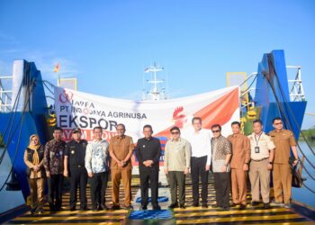 Indonesia Ekspor Ayam Hidup Ke Singapura Senilai Rp 1,8 Miliar