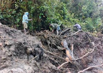 Banjir Longsor di Kabupaten Nduga, 15 Korban Hilang Belum Ditemukan