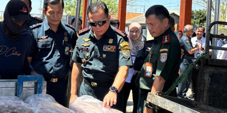 KKP Tambah Personel Syahbandar di Pelabuhan Perikanan Tingkatkan Layanan ke Nelayan